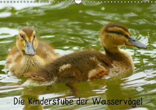 Die Kinderstube der Wasservögel (Wandkalender 2014 DIN A3 quer): Wasservogel Küken (Monatskalender, 14 Seiten) Natural Sciences