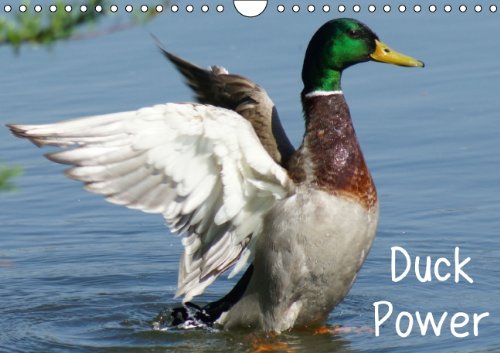 Duck Power (Wandkalender 2014 DIN A4 quer): Entenvögel in Bewegung (Monatskalender, 14 Seiten) Living & Furnishing