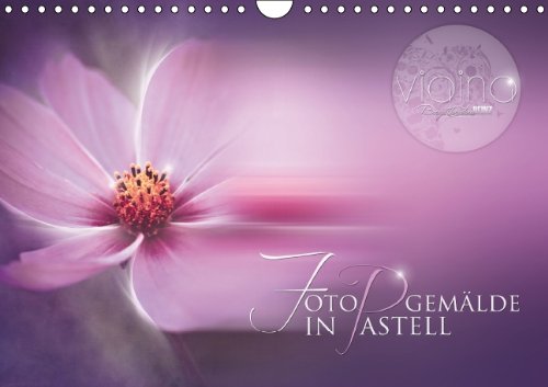 FOTOGEMÄLDE IN PASTELL (Wandkalender 2014 DIN A4 quer): Texturierte Fotokreationen von VIAINA Birgit Heinz (Monatskalender, 14 Seiten) Film, Art & Culture