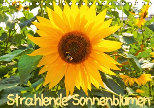 Strahlende Sonnenblumen (Tischkalender 2014 DIN A5 quer): Strahlende Sonnenblumen (Tischkalender, 14 Seiten) Photography