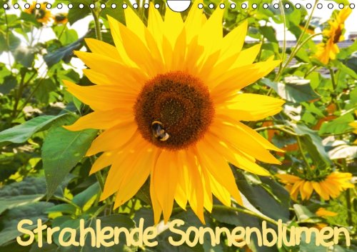 Strahlende Sonnenblumen (Wandkalender 2014 DIN A4 quer): Strahlende Sonnenblumen (Monatskalender, 14 Seiten) Film, Art & Culture