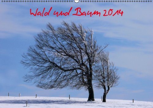 Wald und Baum 2014 (Wandkalender 2014 DIN A2 quer): Baumlandschaft im Wandel eines Jahres (Monatskalender, 14 Seiten) Leisure, Home & Garden