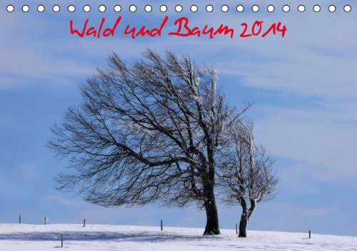 Wald und Baum 2014 (Tischkalender 2014 DIN A5 quer): Baumlandschaft im Wandel eines Jahres (Tischkalender, 14 Seiten) Leisure, Home & Garden