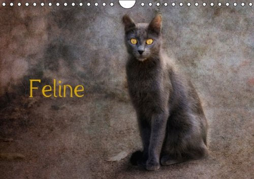 Feline (Wandkalender 2014 DIN A4 quer): Straßenkatzen (Monatskalender, 14 Seiten) Film, Art & Culture