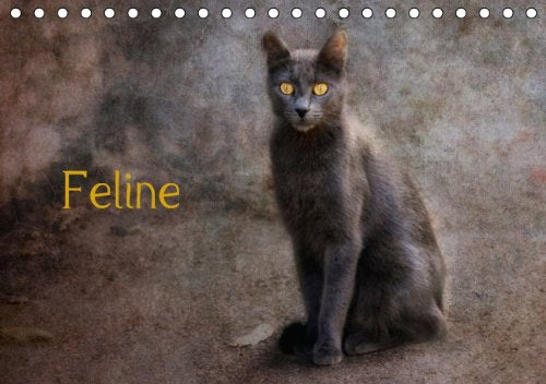 Feline (Tischkalender 2014 DIN A5 quer): Straßenkatzen (Tischkalender, 14 Seiten) Film, Art & Culture