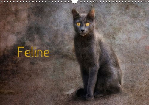Feline (Wandkalender 2014 DIN A3 quer): Straßenkatzen (Monatskalender, 14 Seiten) Film, Art & Culture