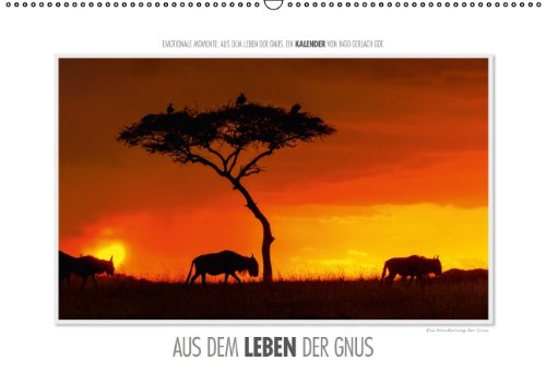 Emotionale Momente: Aus dem Leben der Gnus. (Wandkalender 2014 DIN A2 quer): Aus mehreren tausend Bildern der Gnu-Antilopen hat der renommierte ... ausgesucht. (Monatskalender, 14 Seiten) Leisure, Home & Garden