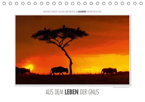 Emotionale Momente: Aus dem Leben der Gnus. (Tischkalender 2014 DIN A5 quer): Aus mehreren tausend Bildern der Gnu-Antilopen hat der renommierte ... ausgesucht. (Tischkalender, 14 Seiten) Leisure, Home & Garden