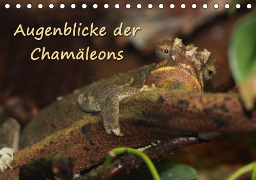Augenblicke der Chamäleons (Tischkalender 2014 DIN A5 quer): Augenblicke aus dem Leben von Chamäleons (Tischkalender, 14 Seiten) Living & Furnishing