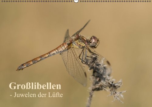 Großlibellen - Juwelen der Lüfte (Wandkalender 2014 DIN A2 quer): Ein Wandkalender mit wunderschönen Aufnahmen vieler heimischer Großlibellen-Arten. (Monatskalender, 14 Seiten) Living & Furnishing