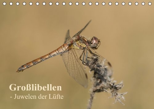 Großlibellen - Juwelen der Lüfte (Tischkalender 2014 DIN A5 quer): Ein Wandkalender mit wunderschönen Aufnahmen vieler heimischer Großlibellen-Arten. (Tischkalender, 14 Seiten) Living & Furnishing