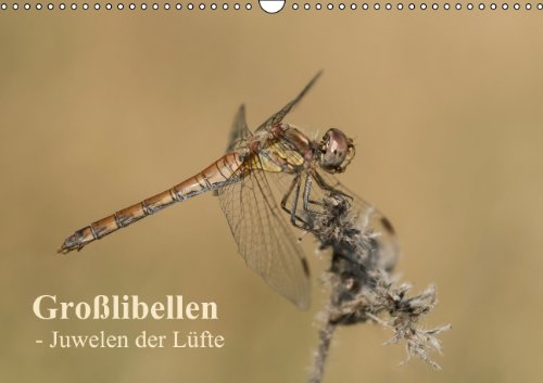 Großlibellen - Juwelen der Lüfte (Wandkalender 2014 DIN A3 quer): Ein Wandkalender mit wunderschönen Aufnahmen vieler heimischer Großlibellen-Arten. (Monatskalender, 14 Seiten) Living & Furnishing