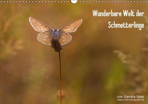 Wunderbare Welt der Schmetterlinge (Wandkalender 2014 DIN A3 quer): "Was die Raupe Ende der Welt nennt, nennt der Rest der Welt Schmetterling" (Laozi) (Monatskalender, 14 Seiten) Natural Sciences