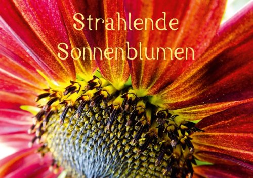 Strahlende Sonnenblumen (Posterbuch DIN A4 quer): Strahlende Sonnenblumen (Posterbuch, 14 Seiten) (CALVENDO Natur) Sigwarth, Karin Film, Art & Culture