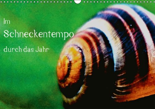 Im Schneckentempo durch das Jahr (Wandkalender 2014 DIN A3 quer): Eine Hilfe zur Entschleunigung (Monatskalender, 14 Seiten) Leisure & Fun