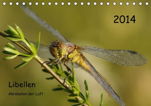 Libellen Akrobaten der Luft (Tischkalender 2014 DIN A5 quer): Faszinierende Nahaufnahmen von Libellen Mitteldeutschlands (Tischkalender, 14 Seiten) Natural Sciences