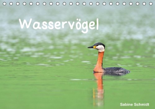 Wasservögel (Tischkalender 2014 DIN A5 quer): Vogelwelt am und im Wasser (Tischkalender, 14 Seiten) Natural Sciences