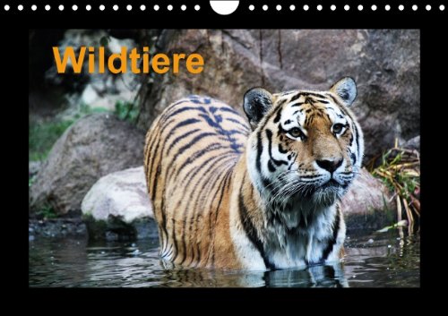 Wildtiere (Wandkalender 2014 DIN A4 quer): Wildtiere aus Nah und Fern (Monatskalender, 14 Seiten) Non-fiction