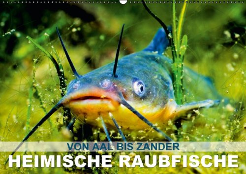Von Aal bis Zander – heimische Raubfische (Wandkalender 2014 DIN A2 quer): Unter Wasser auf der Lauer (Monatskalender, 14 Seiten) Natural Sciences