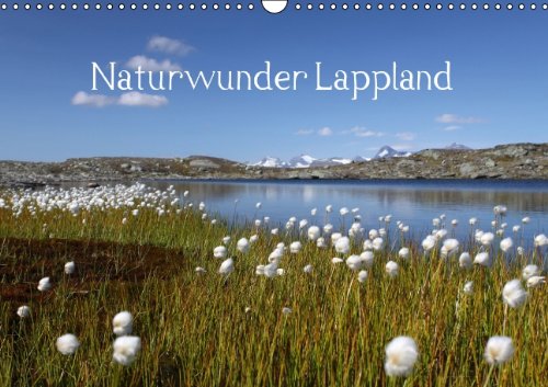 Naturwunder Lappland (Wandkalender 2014 DIN A3 quer): Die Einzigartigkeit der Natur nördlich des Polarkreises (Monatskalender, 14 Seiten) Leisure, Home & Garden
