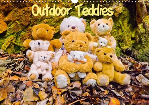 Outdoor Teddies / AT - Version (Wandkalender 2014 DIN A3 quer): Freche Bären humorvoll in Szene gesetzt. (Monatskalender, 14 Seiten) Calendars