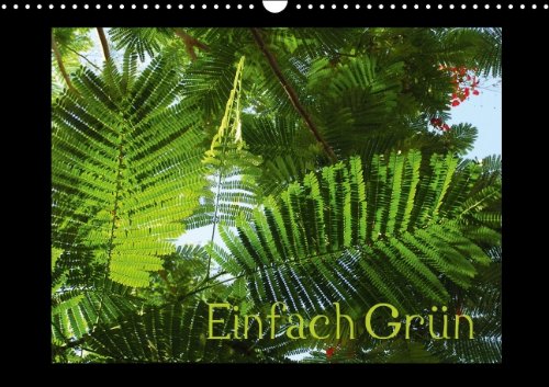 Einfach Grün (Wandkalender 2014 DIN A3 quer): Einfach Grün mit beruhigender Wirkung (Monatskalender, 14 Seiten) Natural Sciences