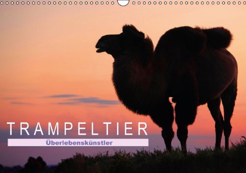 Überlebenskünstler Trampeltier (Wandkalender 2014 DIN A3 quer): Mit zwei Höckern durch die Welt (Monatskalender, 14 Seiten) Natural Sciences