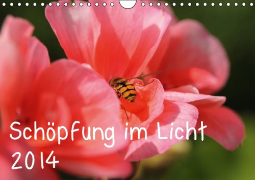 Schöpfung im Licht (Wandkalender 2014 DIN A4 quer): Gottes Schöpfung mit Bibelsprüchen (Monatskalender, 14 Seiten) Calendars