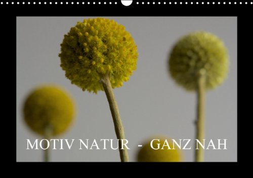 Motiv Natur - Ganz nah (Wandkalender 2014 DIN A3 quer): Inspirierende Detailaufnahmen - Eintauchen in die Schönheit und das Geheimnisvolle der Natur (Monatskalender, 14 Seiten) Film, Art & Culture
