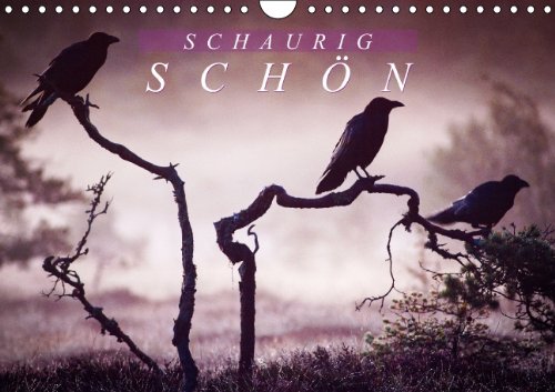 Schaurig schön (Wandkalender 2014 DIN A4 quer): Durch Nacht und Nebel (Monatskalender, 14 Seiten) Psychology