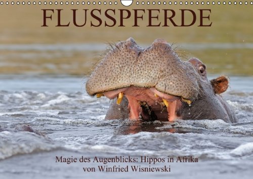 Flusspferde Magie des Augenblicks - Hippos in Afrika (Wandkalender 2014 DIN A3 quer): Eindrucksvolle Fotos von den afrikanischen Kolossen - Nilpferde ... Wisniewski (Monatskalender, 14 Seiten) Leisure, Home & Garden