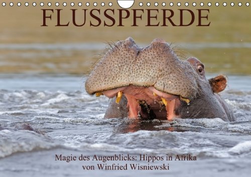 Flusspferde Magie des Augenblicks - Hippos in Afrika (Wandkalender 2014 DIN A4 quer): Eindrucksvolle Fotos von den afrikanischen Kolossen - Nilpferde ... Wisniewski (Monatskalender, 14 Seiten) Leisure, Home & Garden