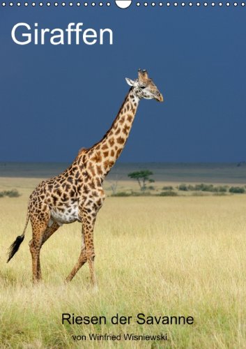 Giraffen (Wandkalender 2014 DIN A3 hoch): Eindrucksvolle Bilder von Giraffen, den Riesen der Savanne, fotografiert von Winfried Wisniewski (Monatskalender, 14 Seiten) Leisure & Fun