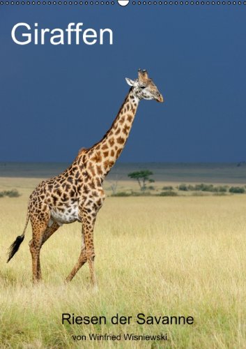 Giraffen (Wandkalender 2014 DIN A2 hoch): Eindrucksvolle Bilder von Giraffen, den Riesen der Savanne, fotografiert von Winfried Wisniewski (Monatskalender, 14 Seiten) Leisure & Fun