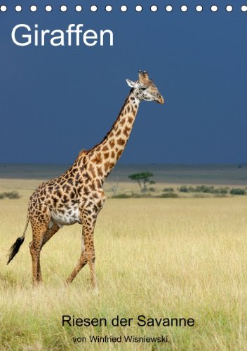 Giraffen (Tischkalender 2014 DIN A5 hoch): Eindrucksvolle Bilder von Giraffen, den Riesen der Savanne, fotografiert von Winfried Wisniewski (Tischkalender, 14 Seiten) Leisure & Fun