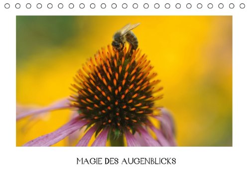 Magie des Augenblicks (Tischkalender 2014 DIN A5 quer): Mit offenen Sinnen bereit sein für den vergänglichen Zauber kurzer Momente in der Natur (Tischkalender, 14 Seiten) Film, Art & Culture