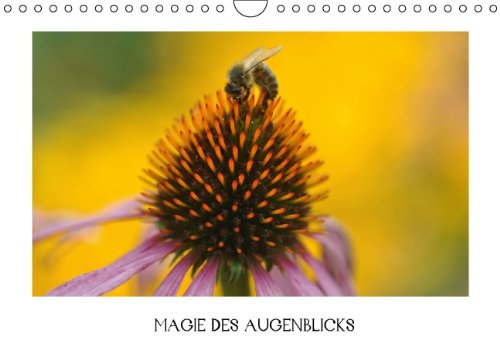 Magie des Augenblicks (Wandkalender 2014 DIN A4 quer): Mit offenen Sinnen bereit sein für den vergänglichen Zauber kurzer Momente in der Natur (Monatskalender, 14 Seiten) Film, Art & Culture