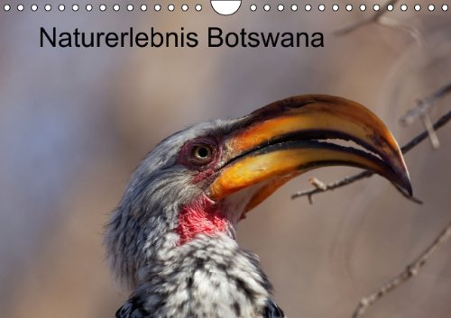 Naturerlebnis Botswana (Wandkalender 2014 DIN A4 quer): Eindrücke aus dem Chobe Park und dem Okavango Delta (Monatskalender, 14 Seiten) Leisure, Home & Garden