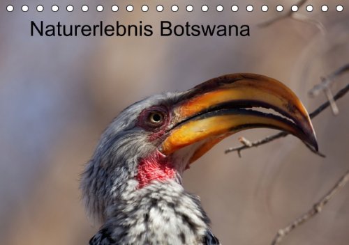 Naturerlebnis Botswana (Tischkalender 2014 DIN A5 quer): Eindrücke aus dem Chobe Park und dem Okavango Delta (Tischkalender, 14 Seiten) Leisure, Home & Garden