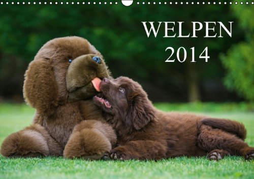 Welpen 2014 (Wandkalender 2014 DIN A3 quer): 13 bezaubernde Welpenfotos begleiten uns durch das Jahr 2014 (Monatskalender, 14 Seiten) Pets