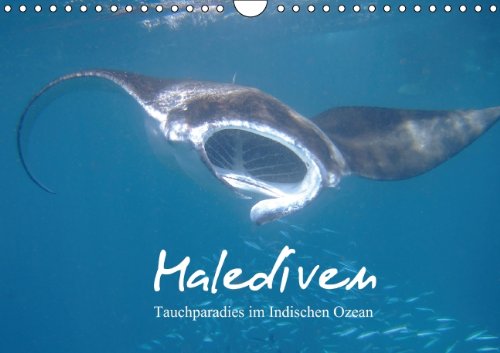 Malediven - Tauchparadies im Indischen Ozean (Wandkalender 2014 DIN A4 quer): Die Malediven gehören zu den besten Tauchzielen der Welt. Beeindruckend ... und Mantas. (Monatskalender, 14 Seiten) Leisure, Home & Garden