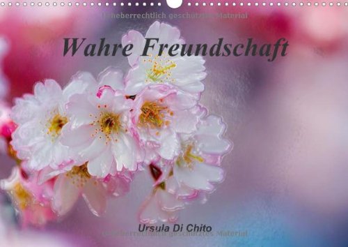 Wahre Freundschaft (Wandkalender 2014 DIN A3 quer): Wahre Freundschaft - Zitate bekannter Persönlichkeiten (Monatskalender, 14 Seiten) Psychology