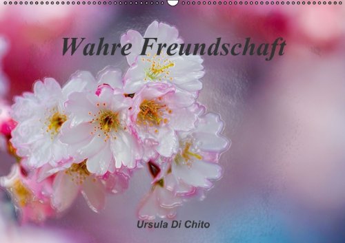 Wahre Freundschaft / AT-Version (Wandkalender 2014 DIN A2 quer): Wahre Freundschaft - Zitate bekannter Persönlichkeiten (Monatskalender, 14 Seiten) Psychology