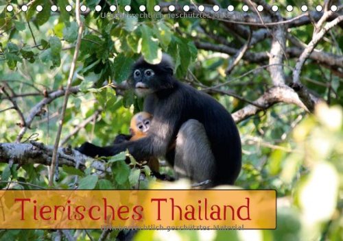 Tierisches Thailand (Tischkalender 2014 DIN A5 quer): Wunderbare Tierwelt Thailands (Tischkalender, 14 Seiten) Film, Art & Culture