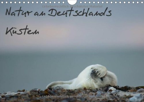 Natur an Deutschlands Küsten (Wandkalender 2014 DIN A4 quer): Tiere und Pflanzen an Deutschlands Nordseeküste (Monatskalender, 14 Seiten) Leisure, Home & Garden
