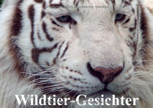 Imagine - Illustrationen von Sophia Sanner (Wandkalender 2014 DIN A3 hoch): Bunter, malerischer Monatskalender (Monatskalender, 14 Seiten) Film, Art & Culture