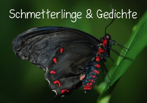 Schmetterlinge & Gedichte (Tischaufsteller DIN A5 quer): Zarte Flügel und Gedichte zum Verschenken (Tischaufsteller, 14 Seiten) (CALVENDO Menschen) Stanzer, Elisabeth Living & Furnishing