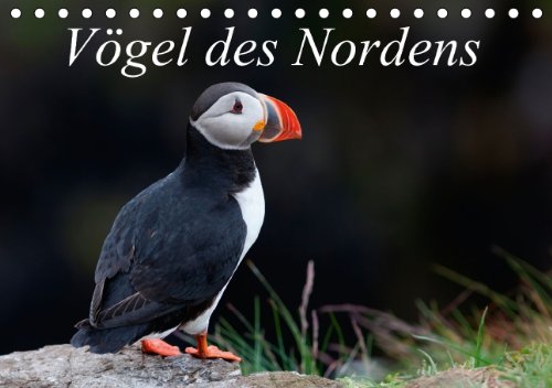 Vögel des Nordens (Tischkalender 2014 DIN A5 quer): Artenreichtum und Vielfalt der Vögel des Nordens sind beeindruckend. (Tischkalender, 14 Seiten) Natural Sciences