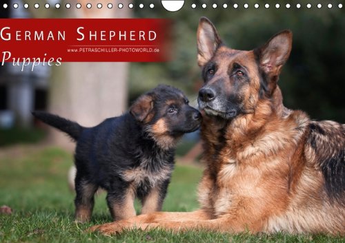 German Shepherd - Puppies / UK-Version (Wall Calendar 2014 DIN A4 Landscape): German Shepherd Puppies... (Month Calendar, 14 pages) Calendars