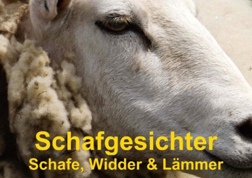 Schafgesichter • Schafe, Widder & Lämmer (Posterbuch DIN A3 quer): Schöne Schafe, Widder und niedlichen Lämmer für jeden Tierfreund (Posterbuch, 14 ... Stanzer, Elisabeth Living & Furnishing